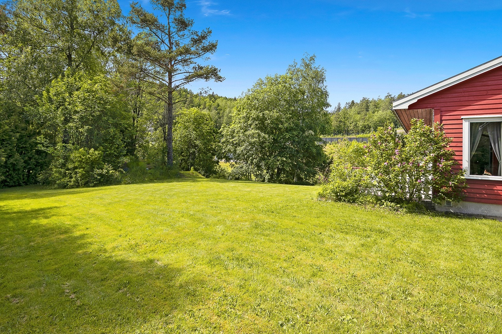 Stor gressplen med svært god plass til lek og moro. Galleribilde