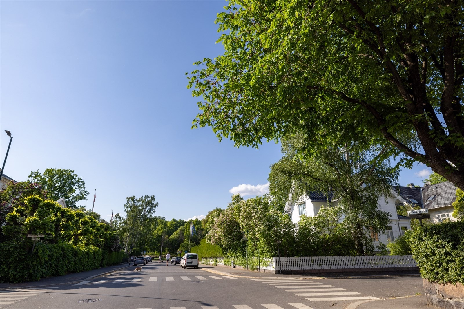 Avstanden til Frognerparken er kun et vakkert kvartal Galleribilde