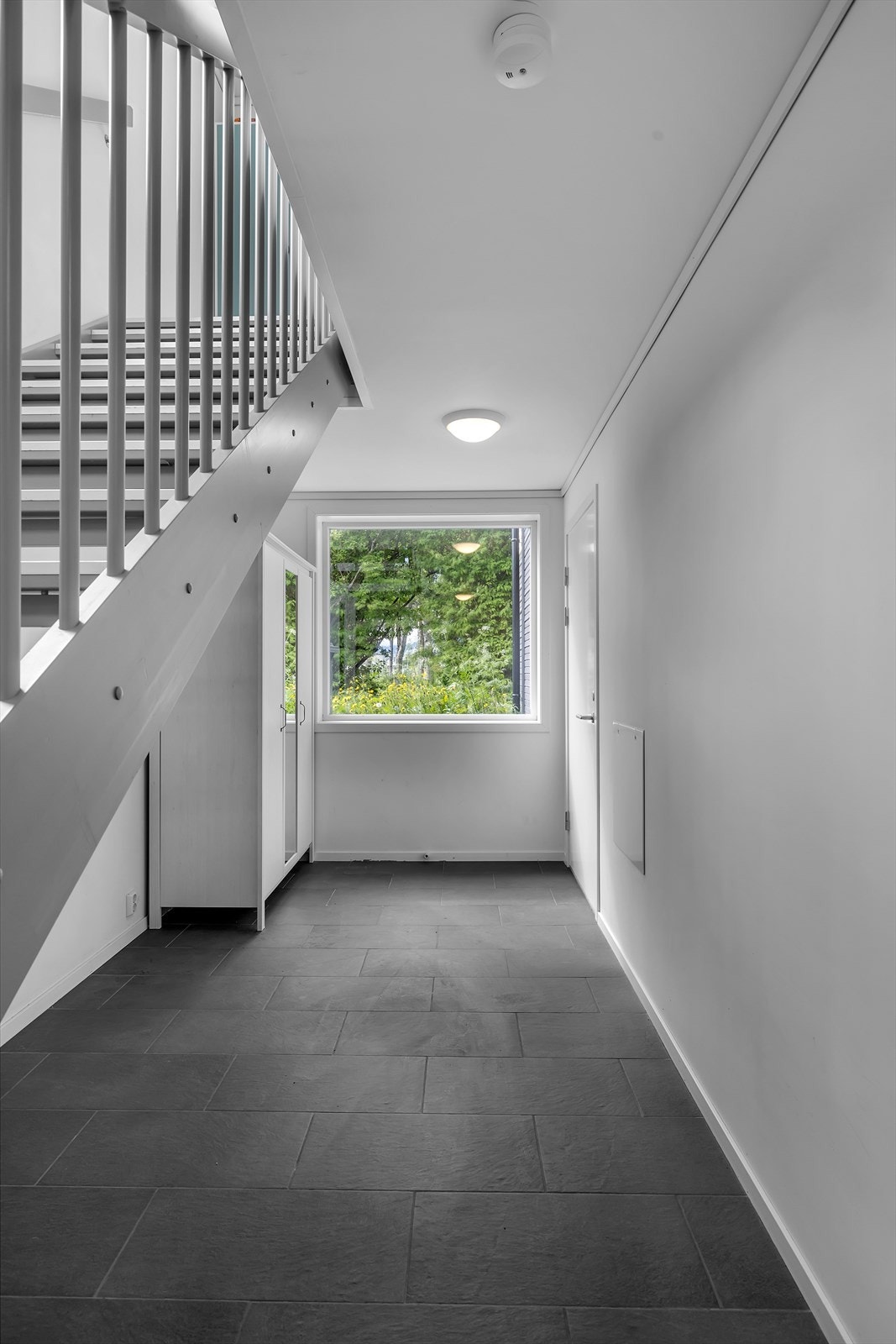 Fellesarealer. Galleribilde