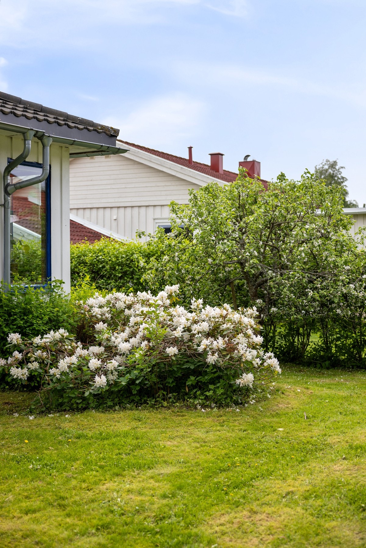 Hagen er pent opparbeidet med beplantning, plen og prydbusker. Galleribilde