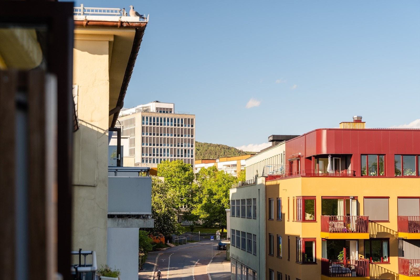 Ser man motsatt vei har man denne utsikten mot Grefsenkollen. Galleribilde