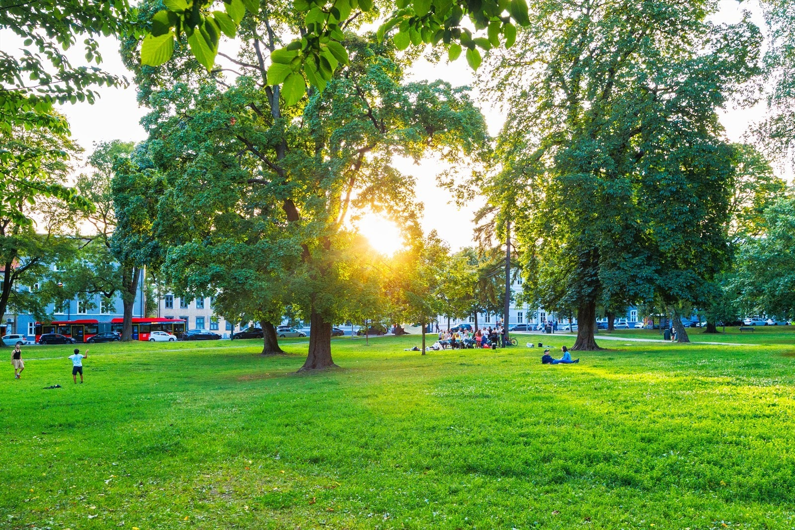 Sofienbergparken ligger like utenfor døren - et grønt pusterom perfekt for piknik, soling og rolige stunder. Galleribilde