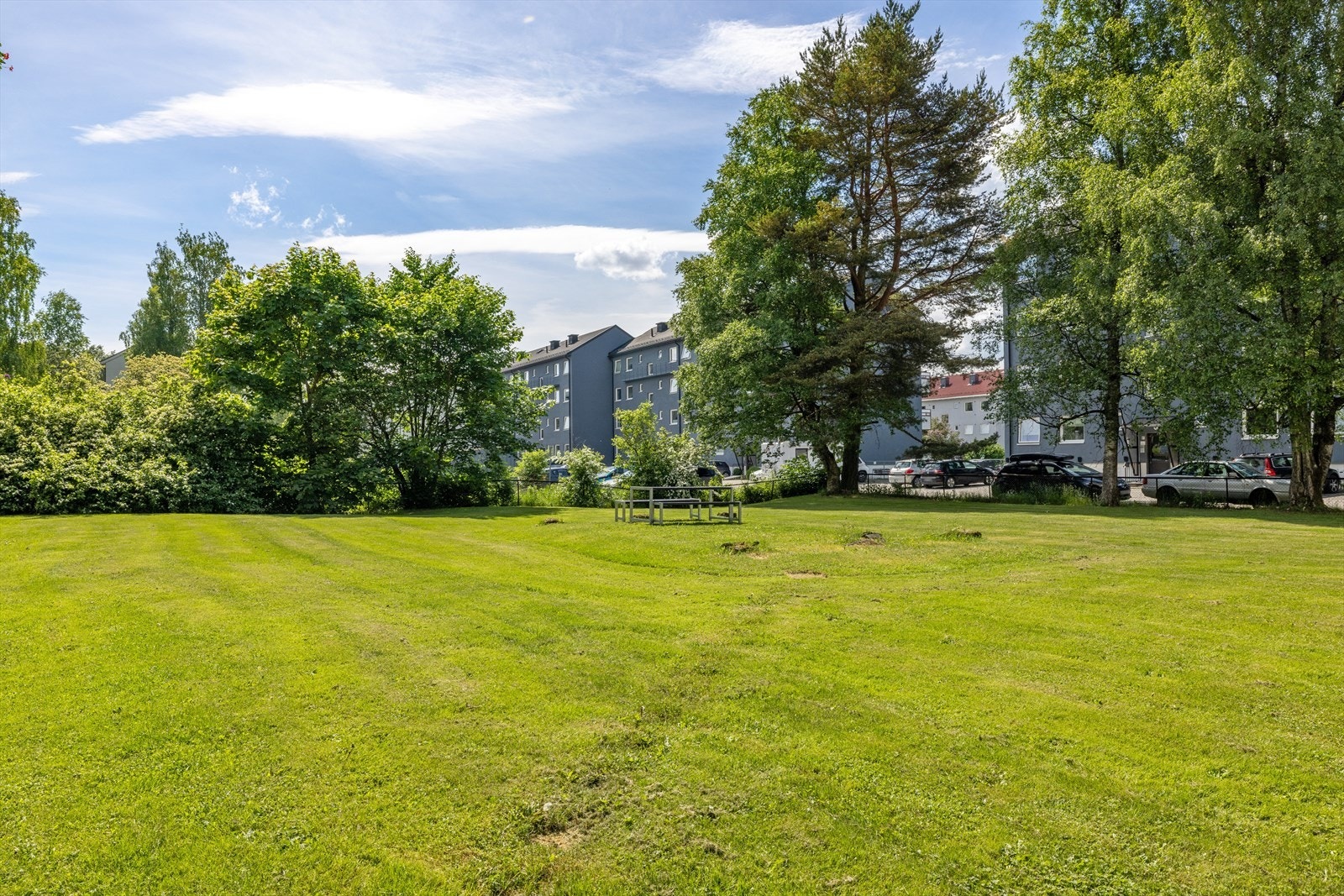 Felles hage Galleribilde