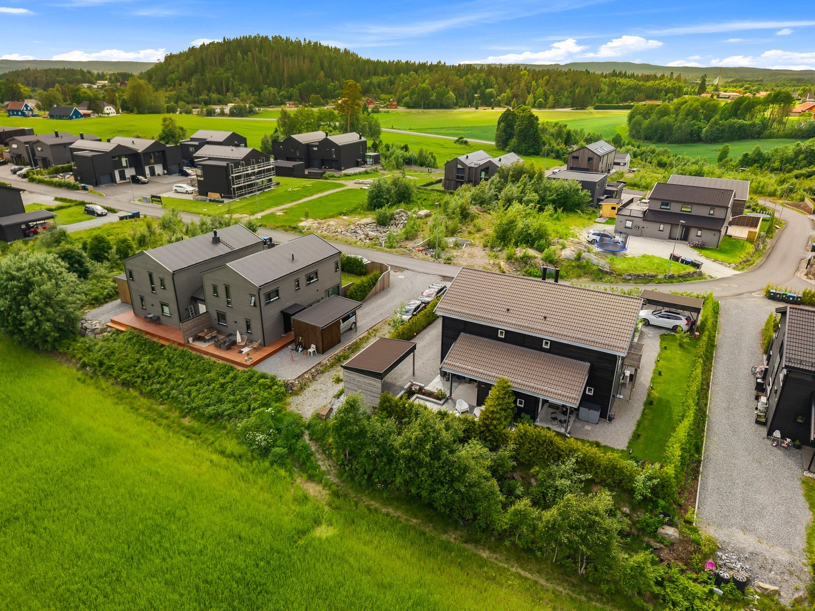 Drone. Galleribilde