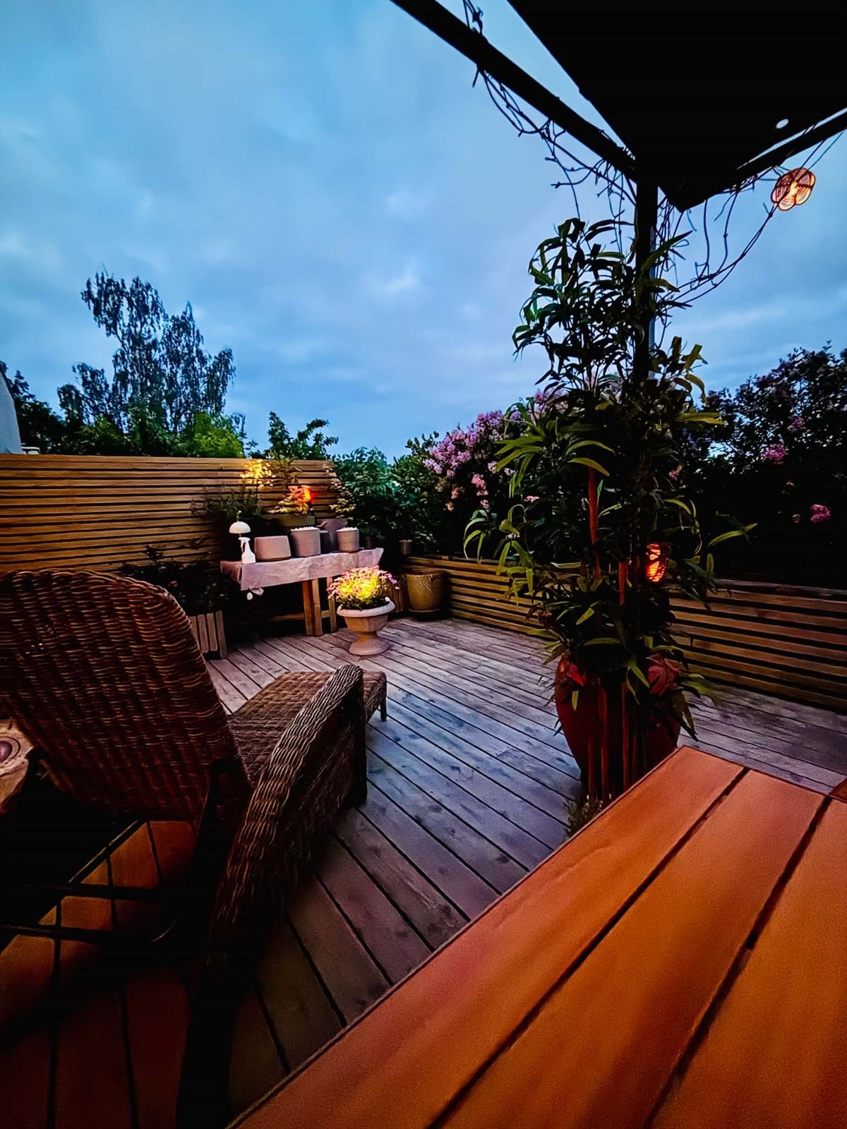 Koselig kveldsstemning på terrassen. Galleribilde