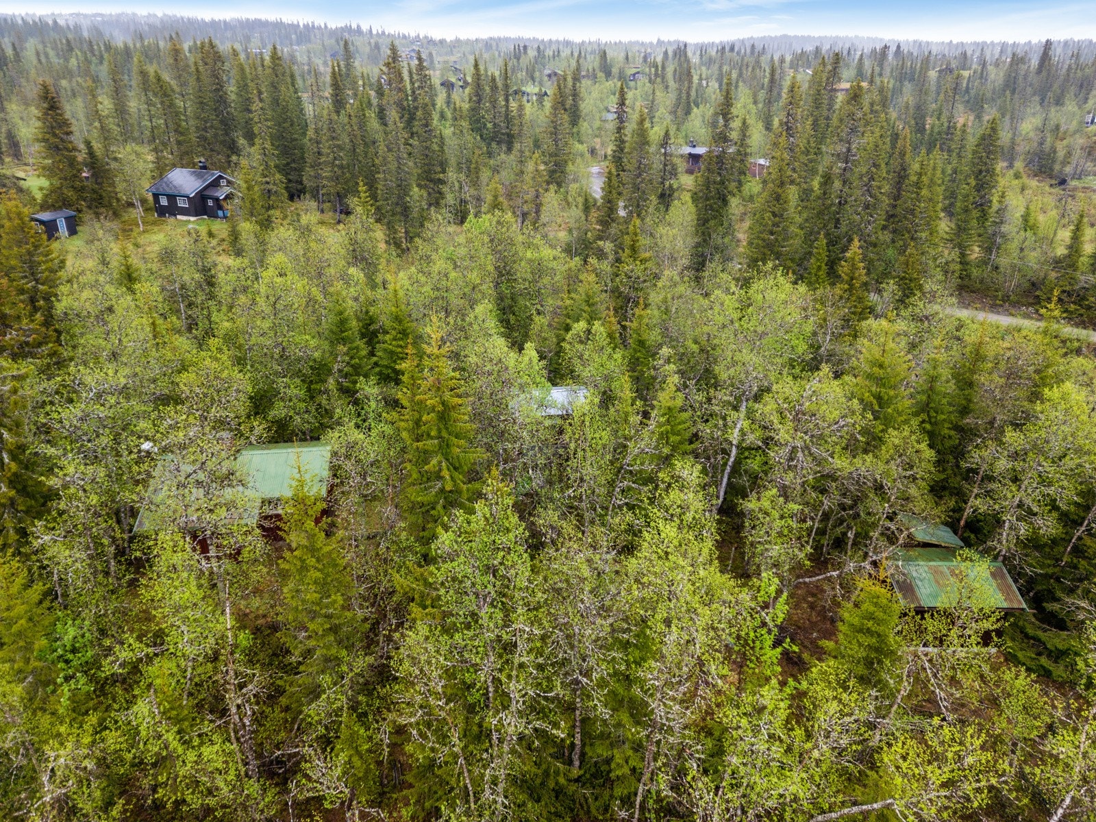 Synnfjellvegen 1322 har fin, solrik beliggenhet i området Krokhølen i Synnfjell, ca. 780 moh. Galleribilde