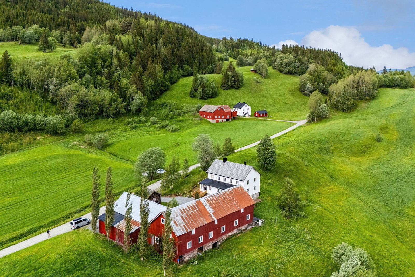Velkommen til en hyggelig visning. Galleribilde