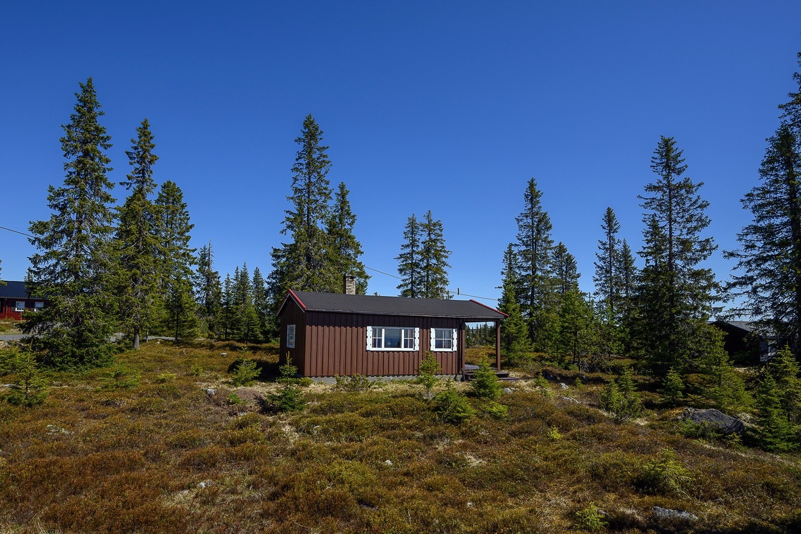 Velkommen til Sjusjøen-Brøttum 1569! Foto: Lars Marius Bækkevold Galleribilde