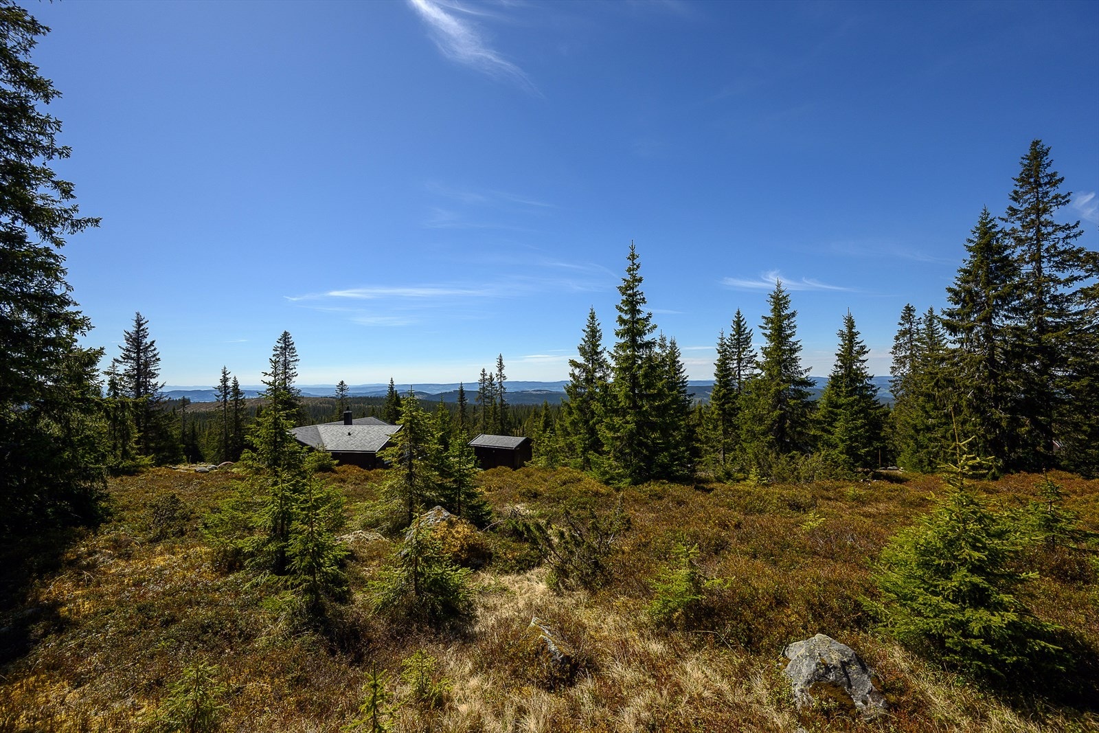 Sjusjøen er kjent for sitt stabile vinterklima og lange skisesong. Fantastiske turmuligheter også sommerstid. Galleribilde