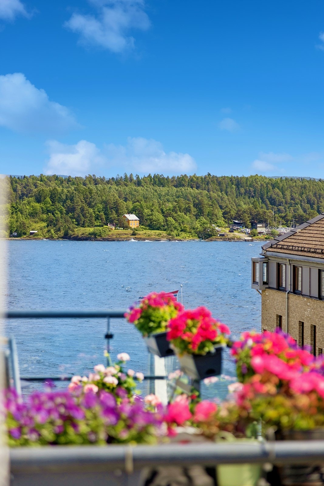 Fra leiligheten er det utsyn mot sjøen Galleribilde