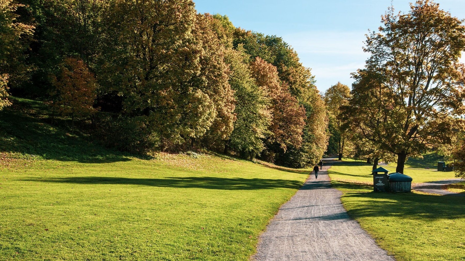 Tøyenparken egner seg ypperlig for piknik, gåturer, joggeturer eller trilleturer. Galleribilde