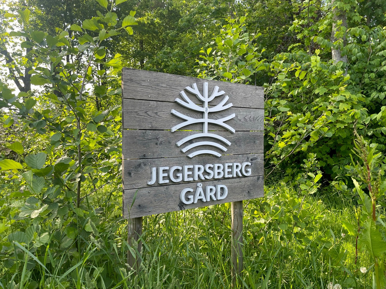 Selgers bilde fra turområder ved Jegersberg Gård Galleribilde