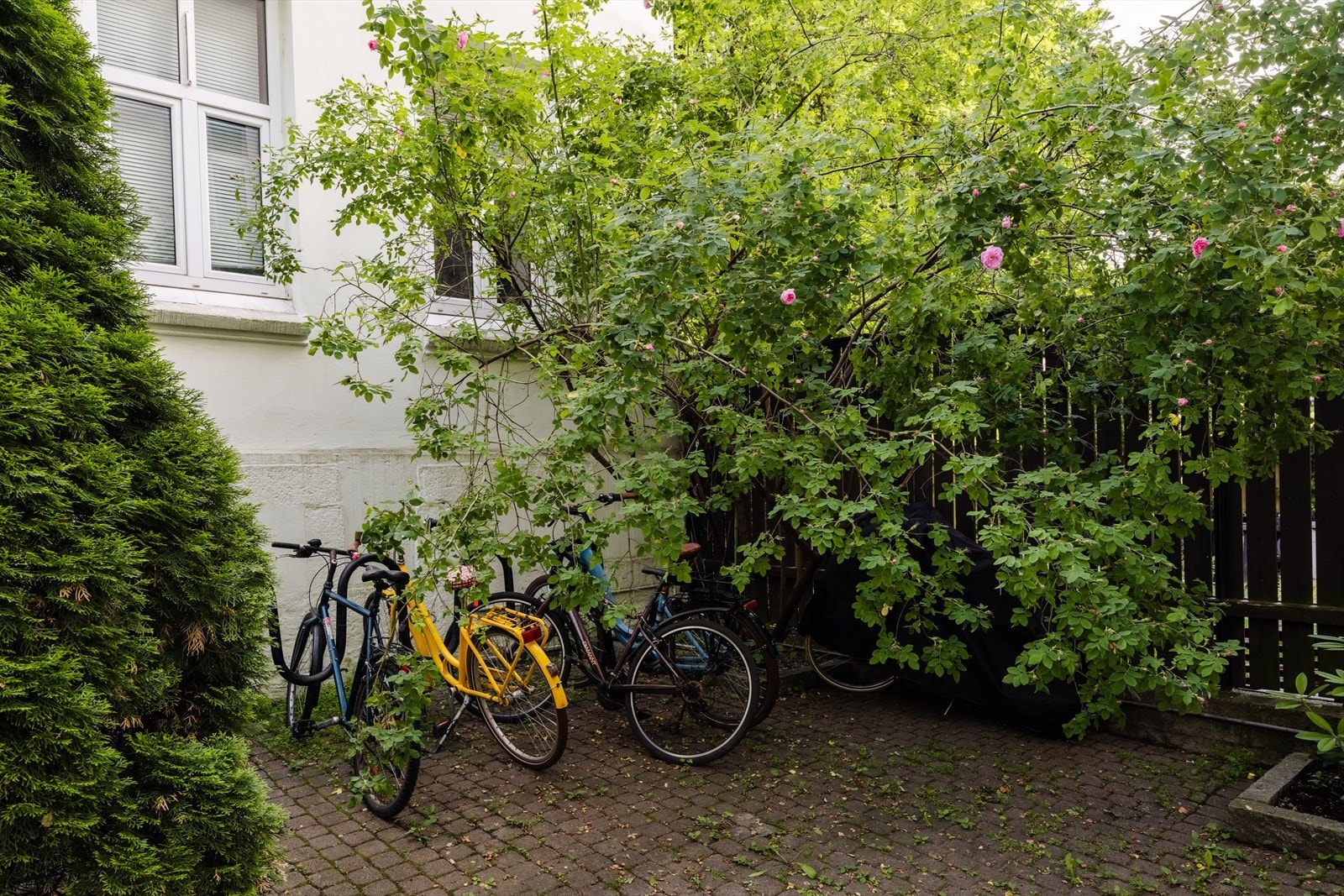 Her finner man også sykkelstativ. Galleribilde