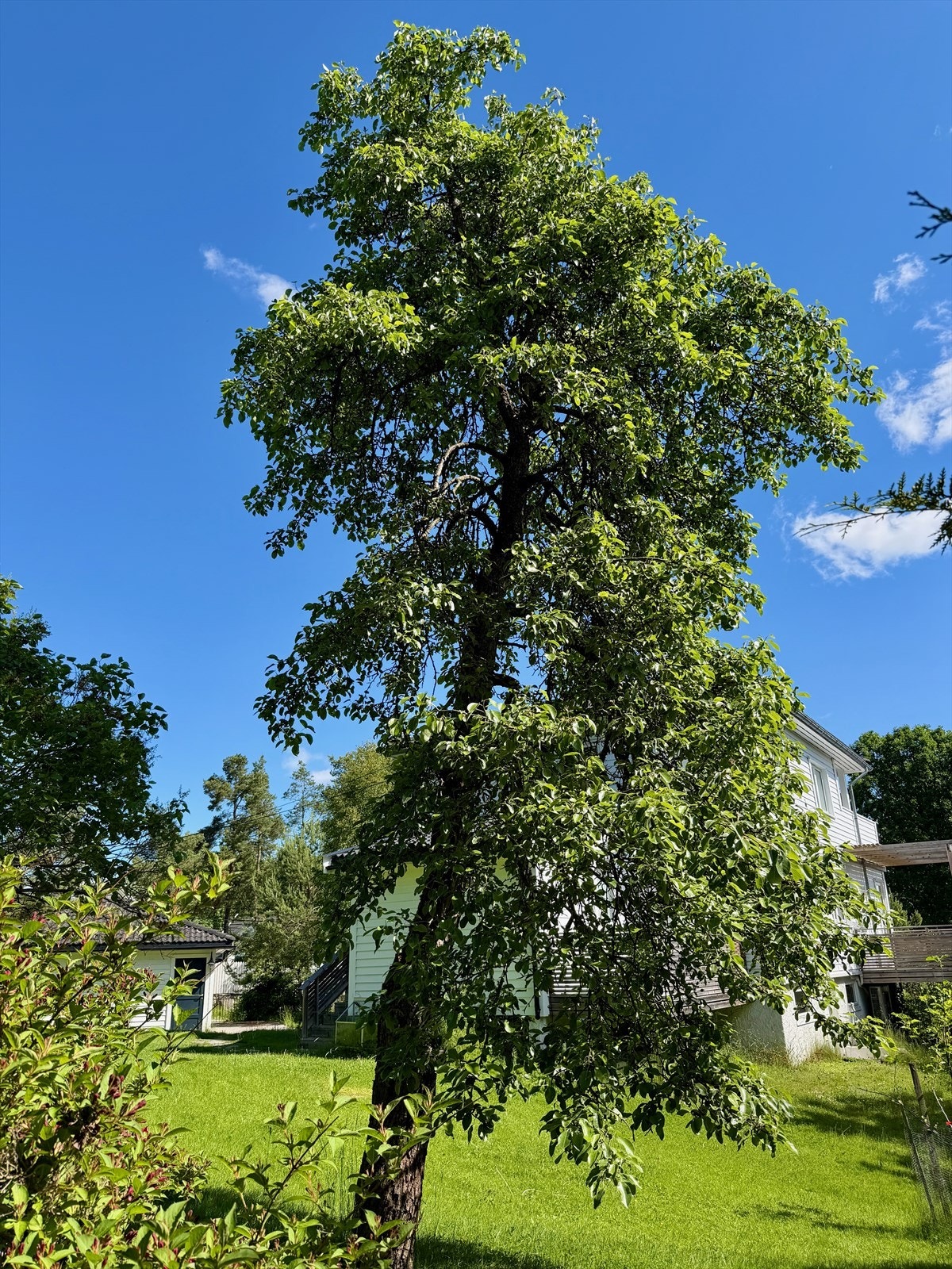 Et ekte hageparadis med sjeldent gode kvaliteter og flotte utsiktsforhold. Galleribilde