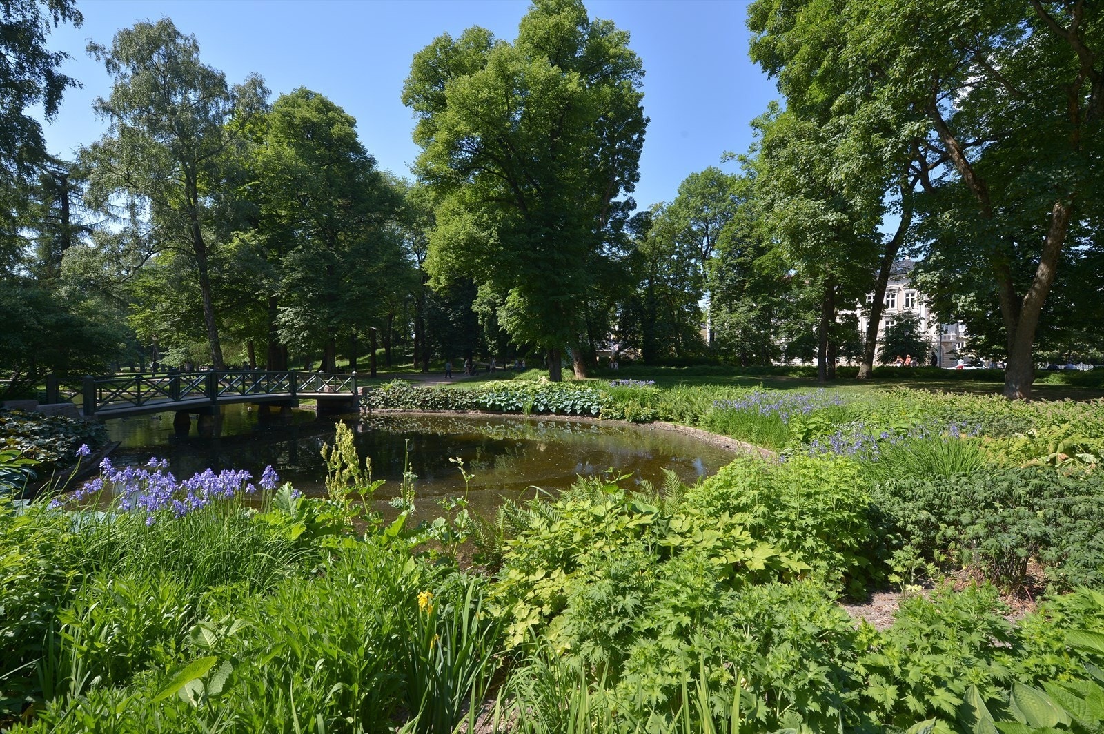 Med Slottsparken som nærmeste nabo får du umiddelbar tilgang til vakre grøntområder, perfekte for rekreasjon, turer og rolige stunder i naturskjønne omgivelser. Galleribilde
