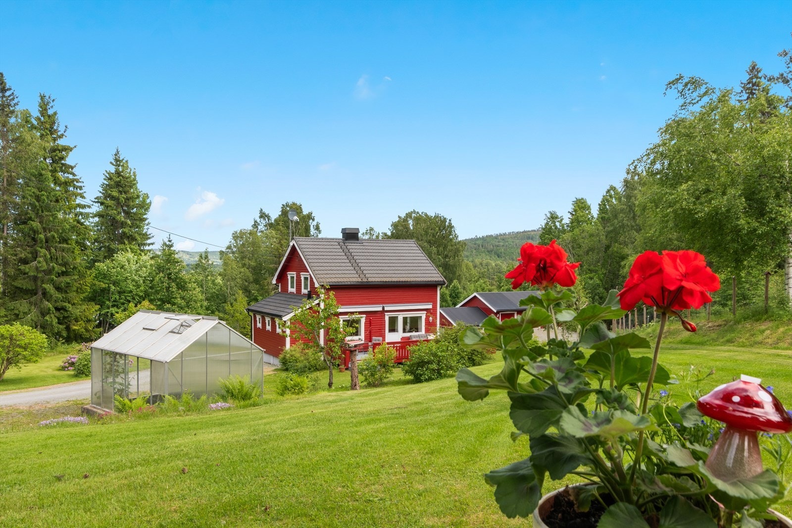 Her snakker vi ekte, norsk småbruksfølelse badet i sol og grønne omgivelser! Galleribilde