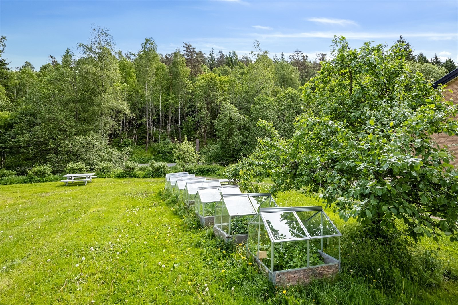 Sameiet har en romslig og velstelt fellestomt, pent opparbeidet med grøntområder, beplantning og hyggelige oppholdsplasser til glede for både små og store. Galleribilde