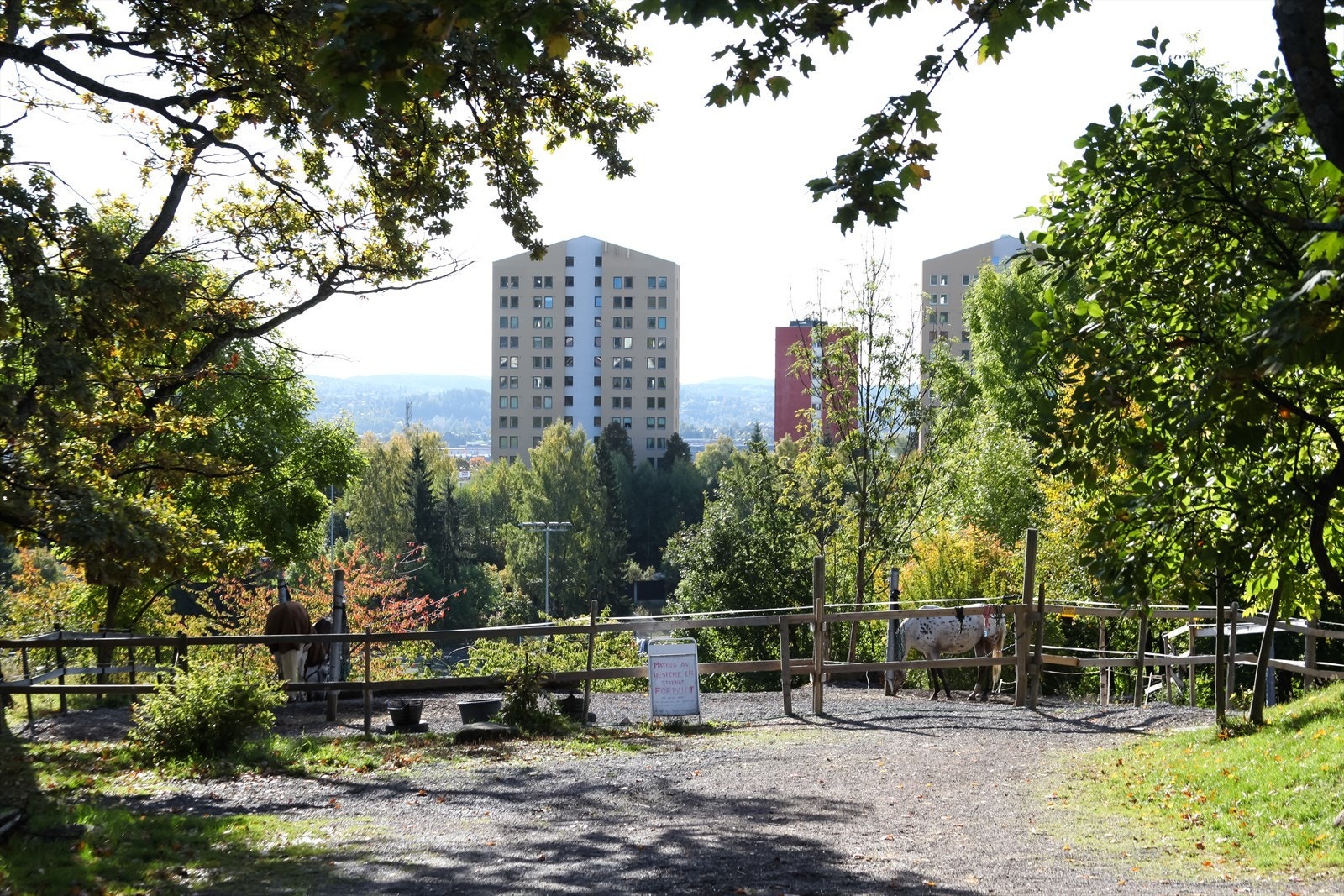 I nærområdet finner du også Årvoll gård, kjent for sitt hyggelige kultur- og aktivitetstilbud. Galleribilde