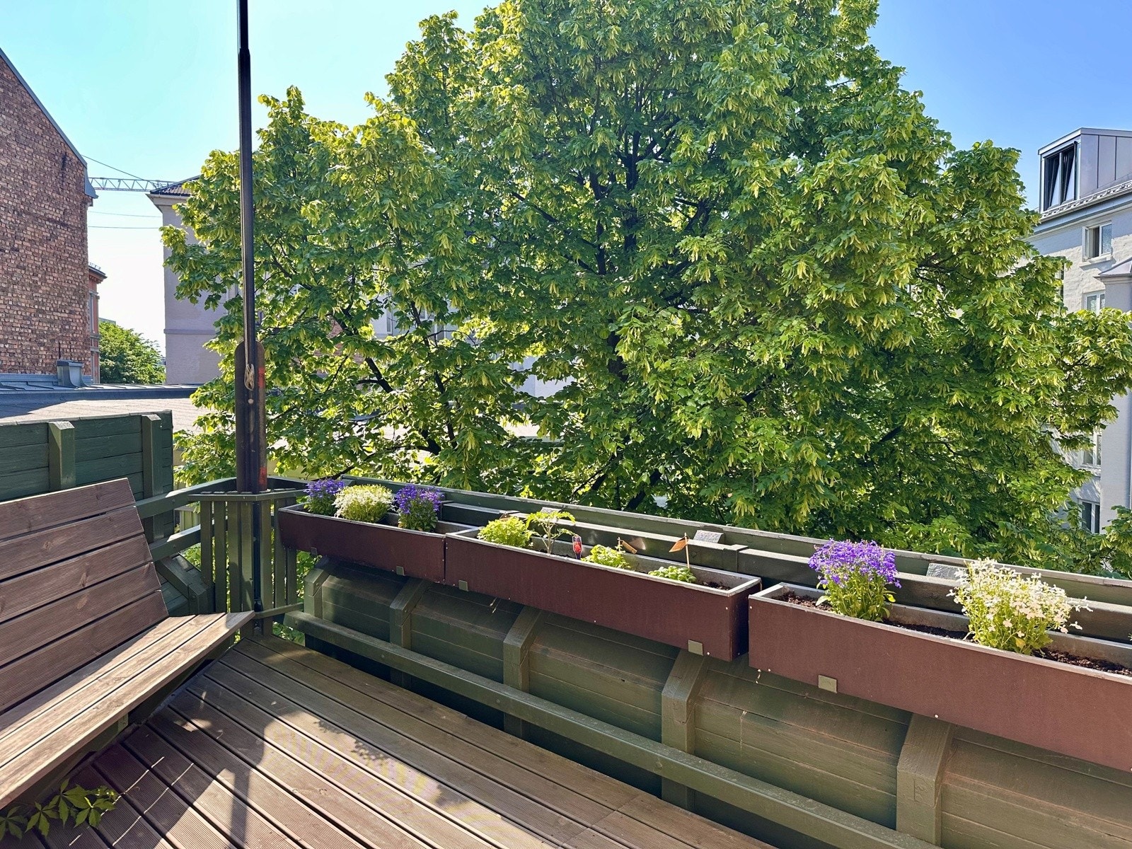 Sameiet disponerer tre felles balkonger vendt mot bakgården. Den øverste balkongen har gode solforhold med sol store deler av dagen, og benyttes blant annet til beplantning i felles blomsterkasser. Galleribilde