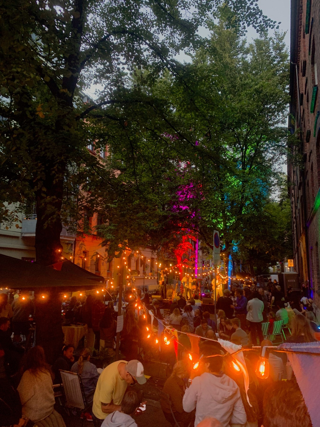 Gråbeinfestivalen Galleribilde