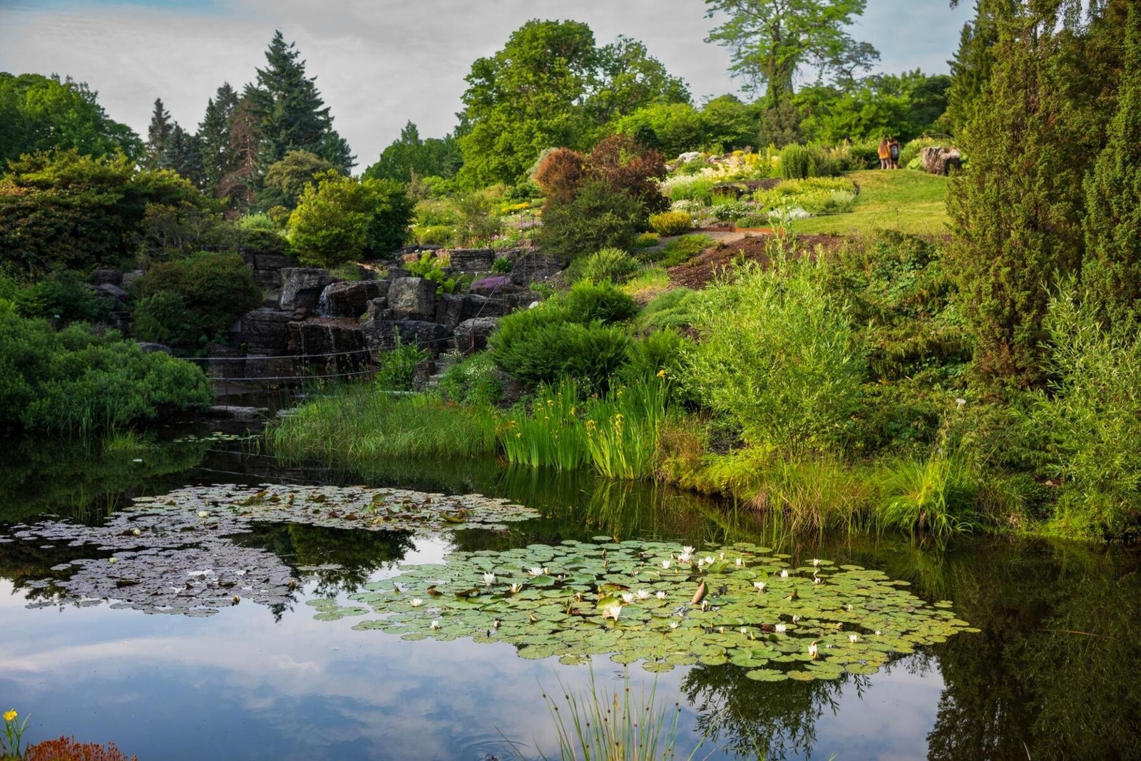 Botanisk hage Galleribilde