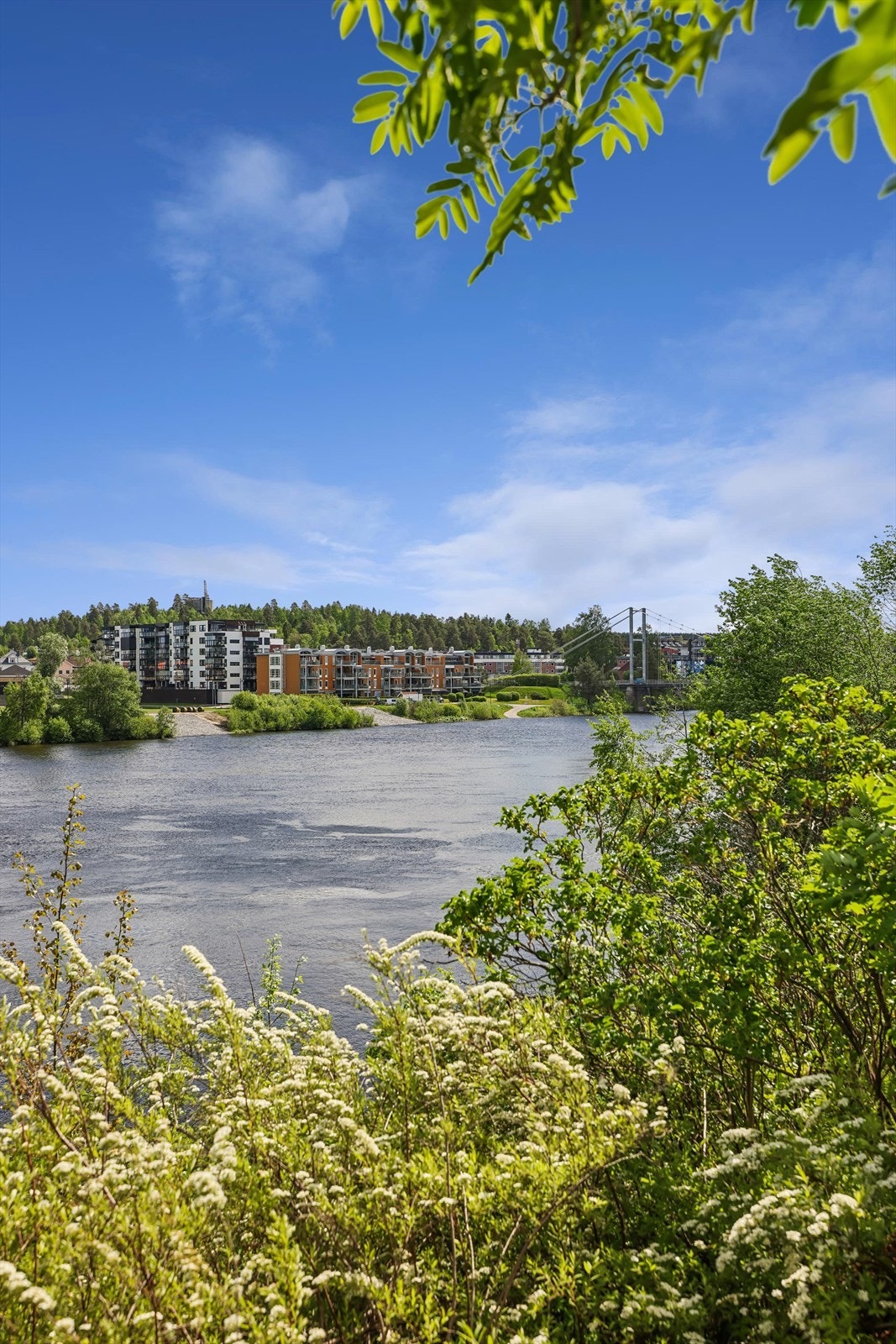 Kort vei til Glomma og flotte turmuligheter langs elvepromenaden. Galleribilde