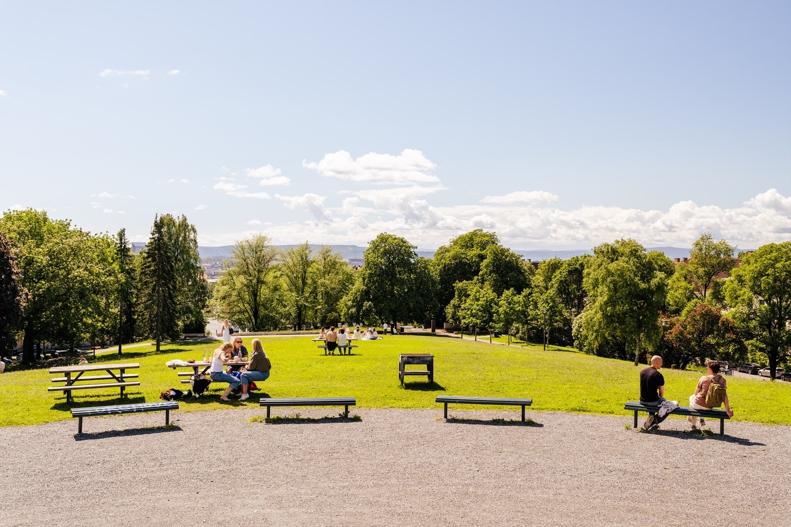 Kort vei til Torshovparken med sine flotte grøntarealer. Galleribilde