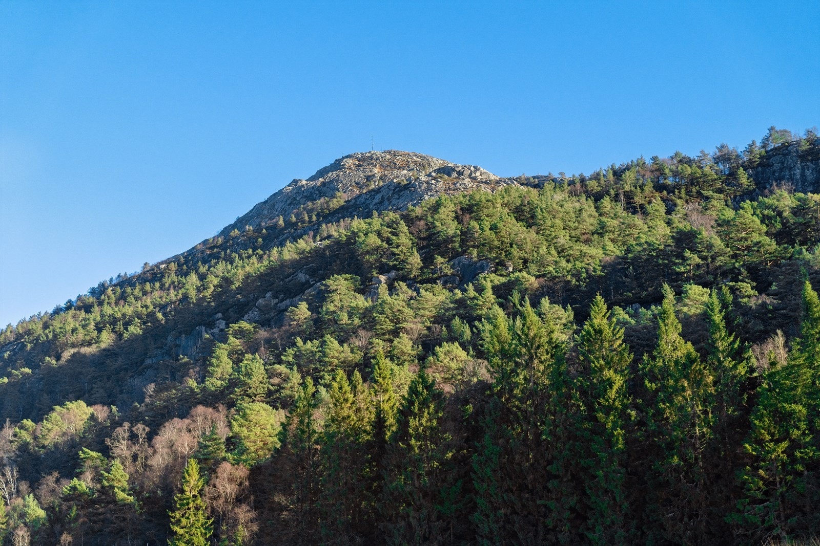 Nærområdet byr på flotte turmuligheter på fjellet. Galleribilde