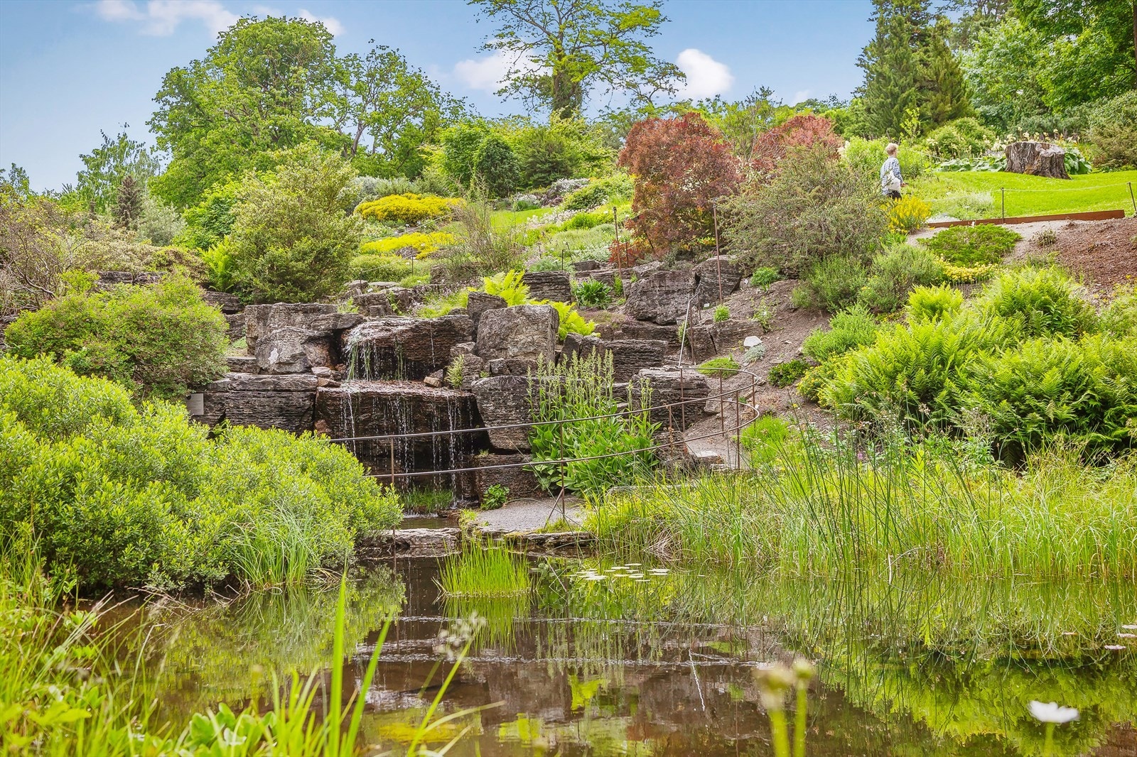 Kort vei til grønne lunger som vakre Botanisk hage for rekreasjon og turer. Galleribilde