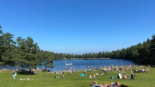 Badeplass Landfalltjern Galleribilde