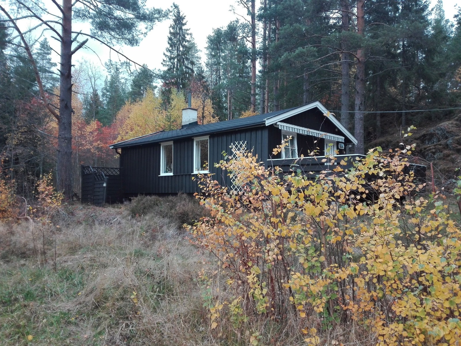 Hytta sett fra åkeren nedenfor Galleribilde
