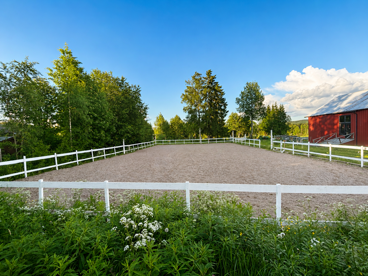 Ridebane Galleribilde