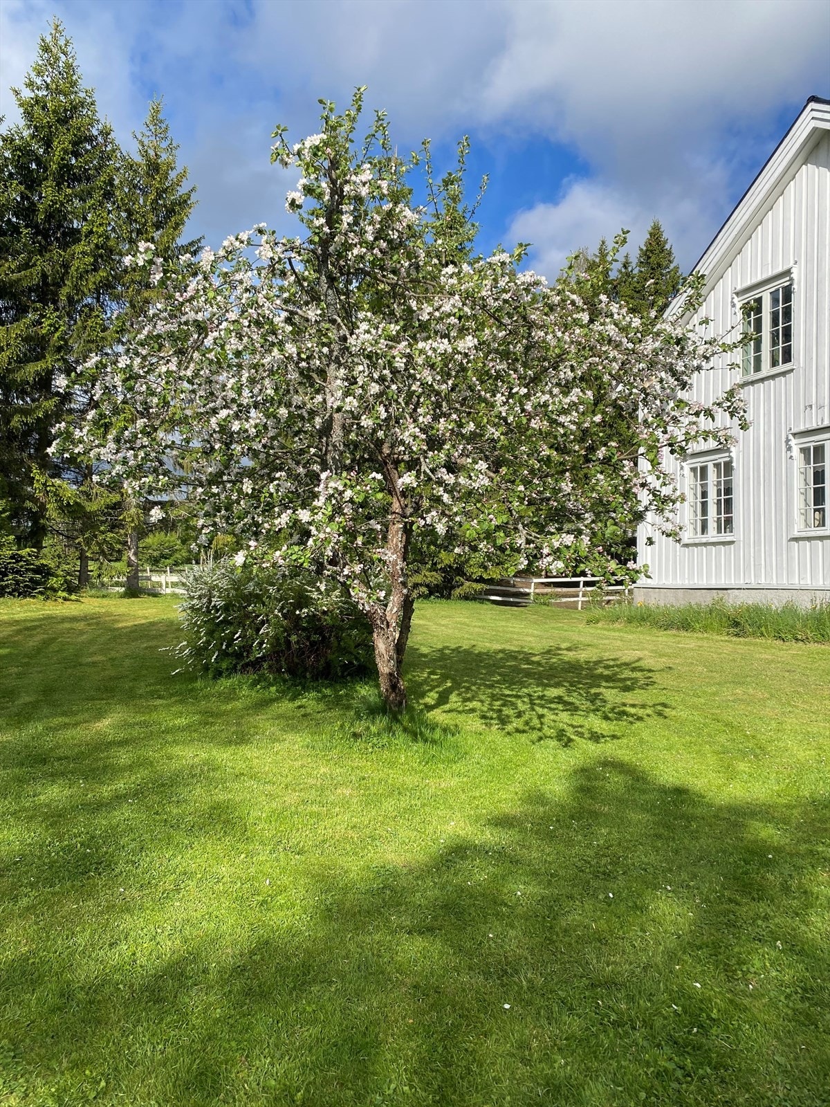 Blomsterbilde av hagen foran hovedhuset Galleribilde