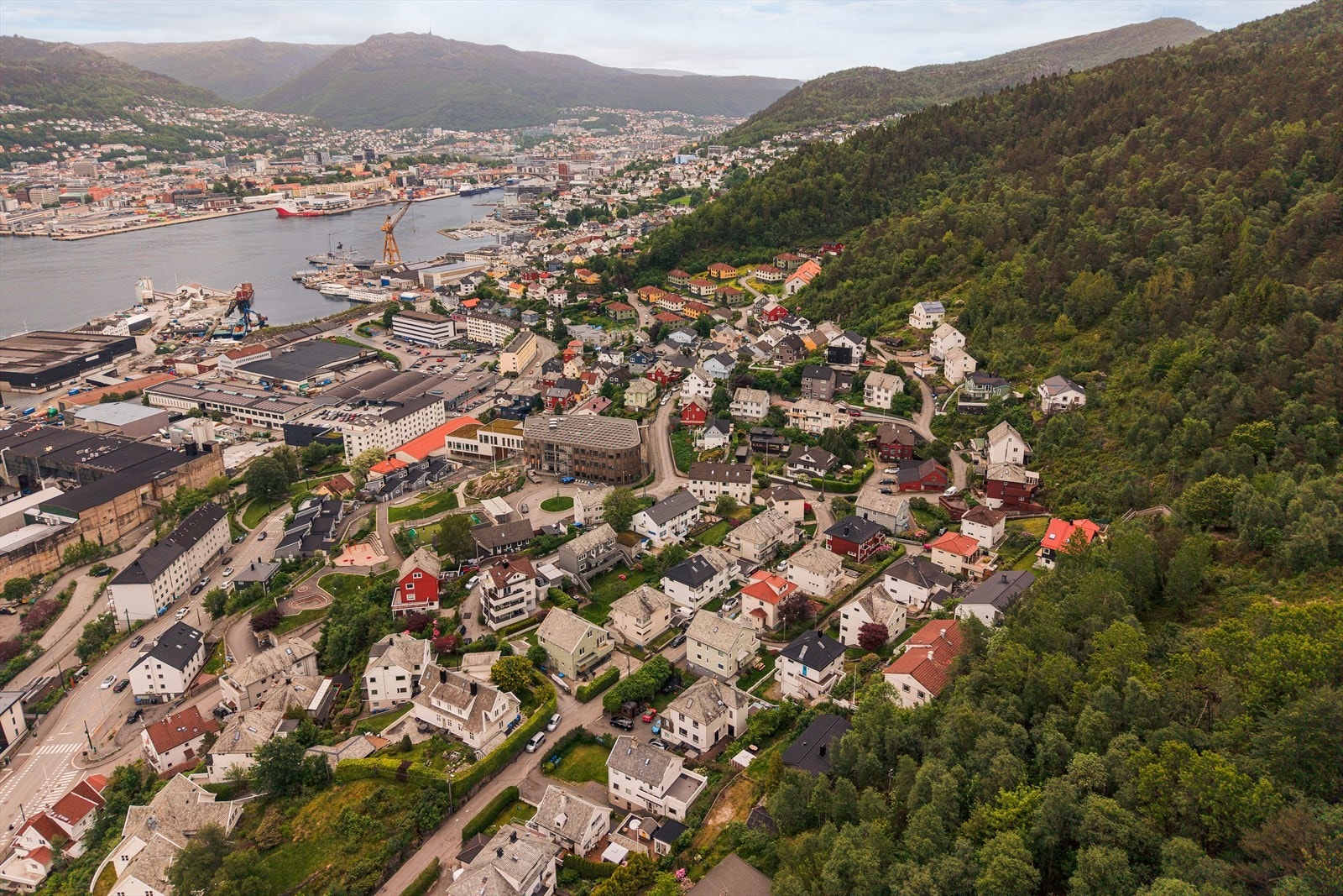 Kort vei til sentrum, samtidig som man har naturen rett utenfor døren. Galleribilde