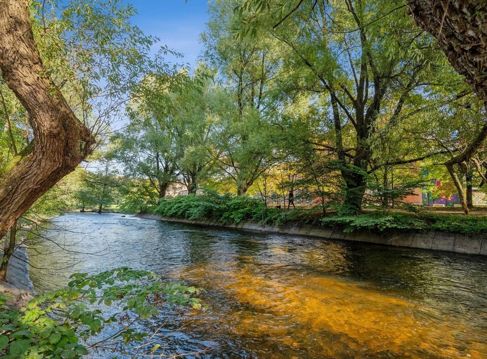 Fra boligen er det kort vei til de flotte tur- og rekreasjonsområdene langs Akerselva. Galleribilde