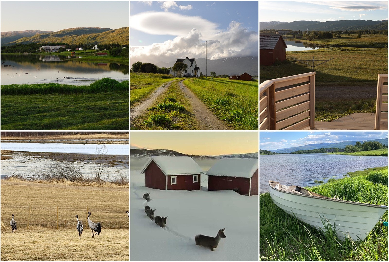 Selgers bilder fra livet på Stokland. Robåten medfølger i handelen. Galleribilde