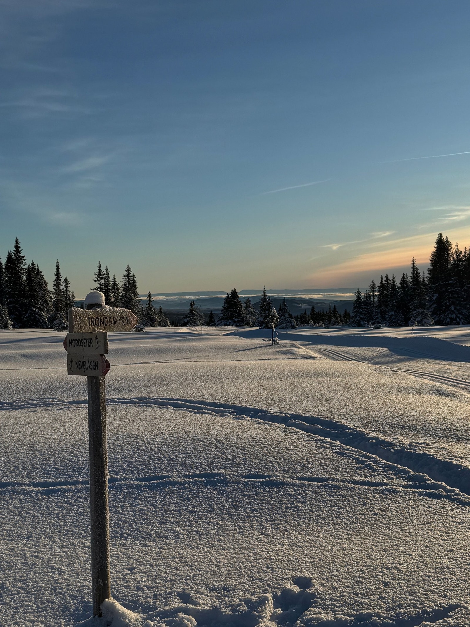 Milevis med skiløyper og turløyper sommer og vinter Galleribilde
