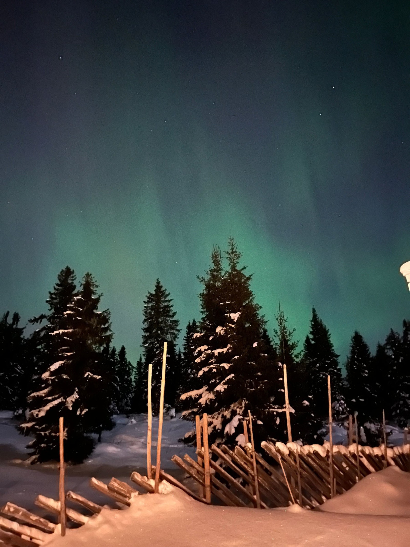 Nordlys Galleribilde