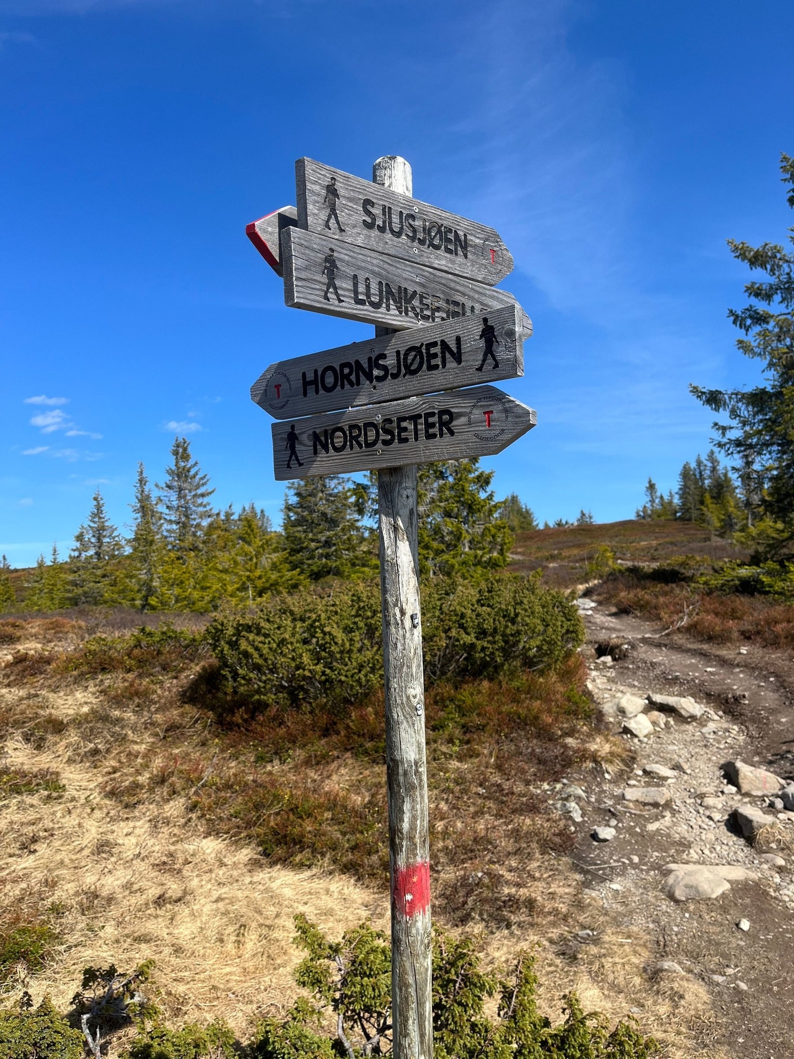 Fantastisk turterreng Galleribilde