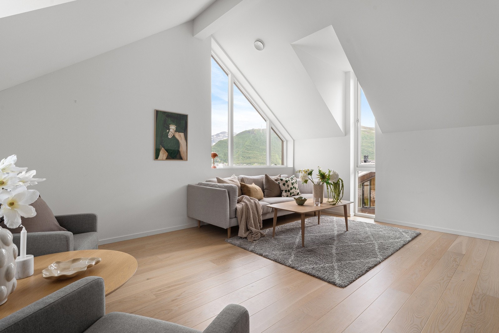 Nydelig utsikt fra stuen. Galleribilde