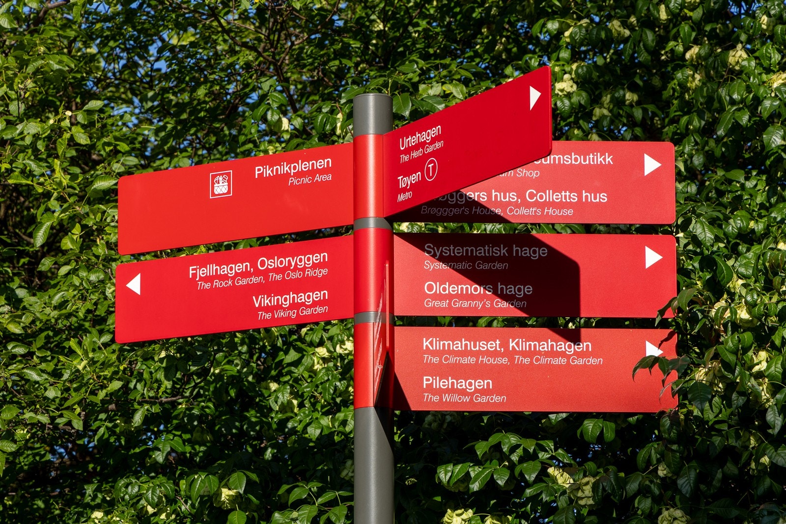 Botanisk hage ligger rett på andre siden av veien. Galleribilde