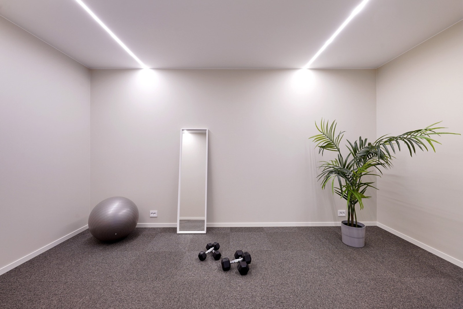 Trimrom/disp.rom Galleribilde