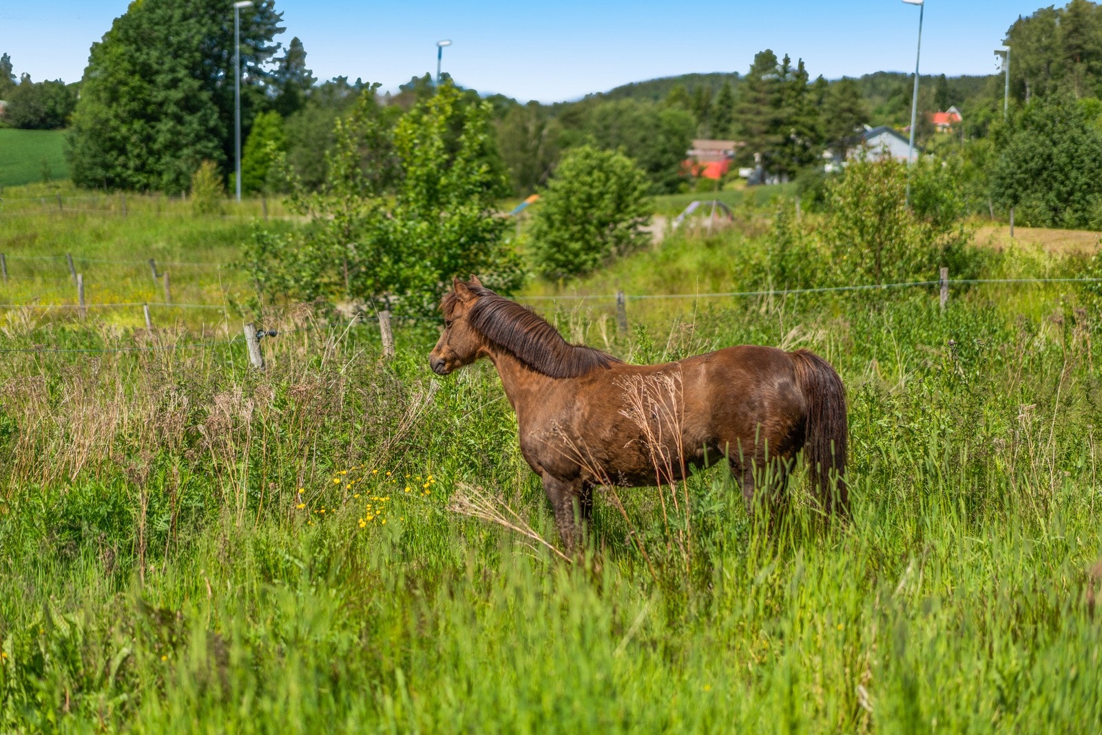 To ridebaner er anlagt nordvest for tunet, og gir gode forhold for hestehold, trening og ridning. Galleribilde