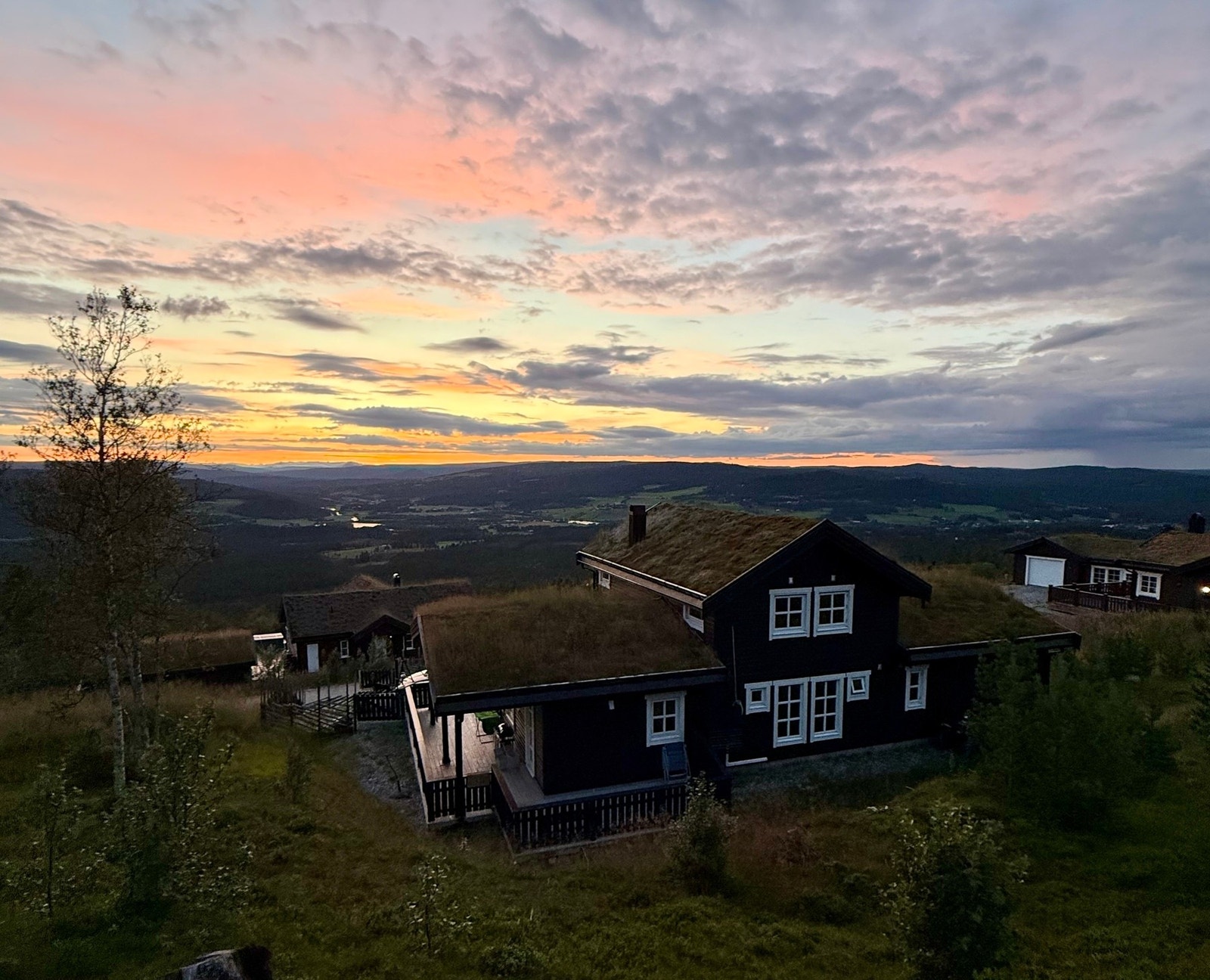 Selgers bilde Galleribilde