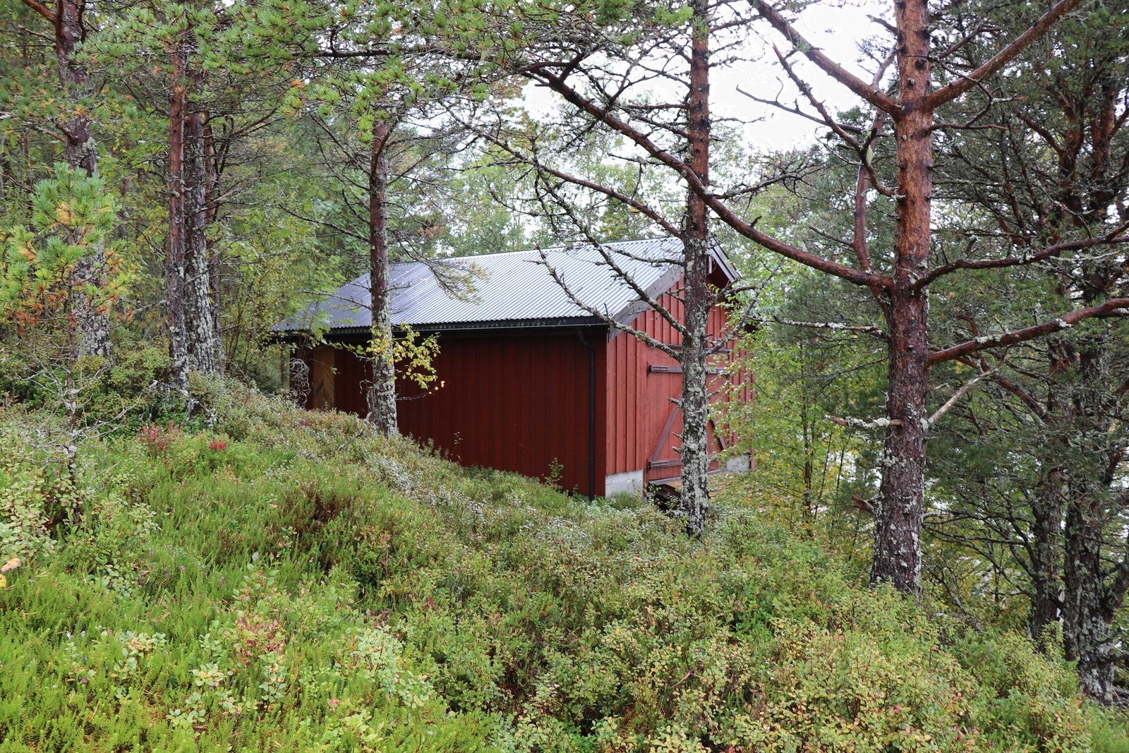 På eiendommen står det også et naust Galleribilde