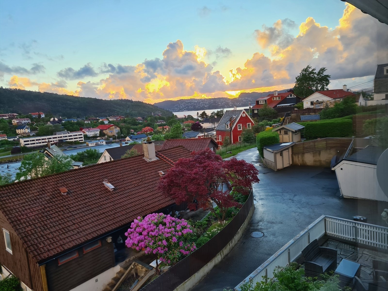Flott solnedgang Galleribilde
