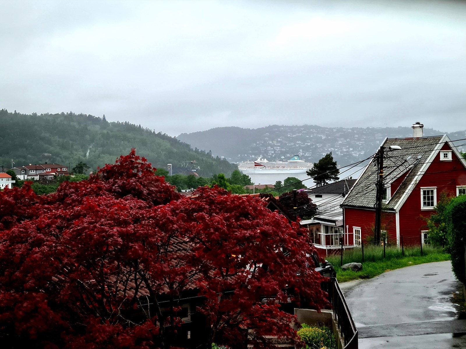 Spektakulær utsikt over innseilingen til Bergen Galleribilde