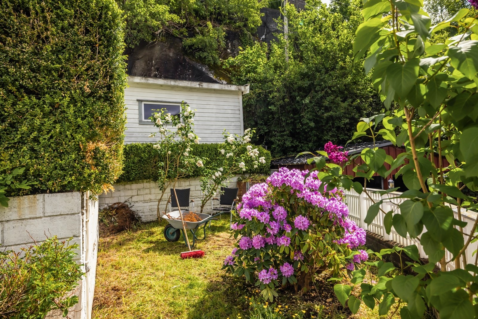 Stor inngjerdet hage, med plass til rododendron og 4 syrintrær. Småføtter kan løpe trygt her Galleribilde