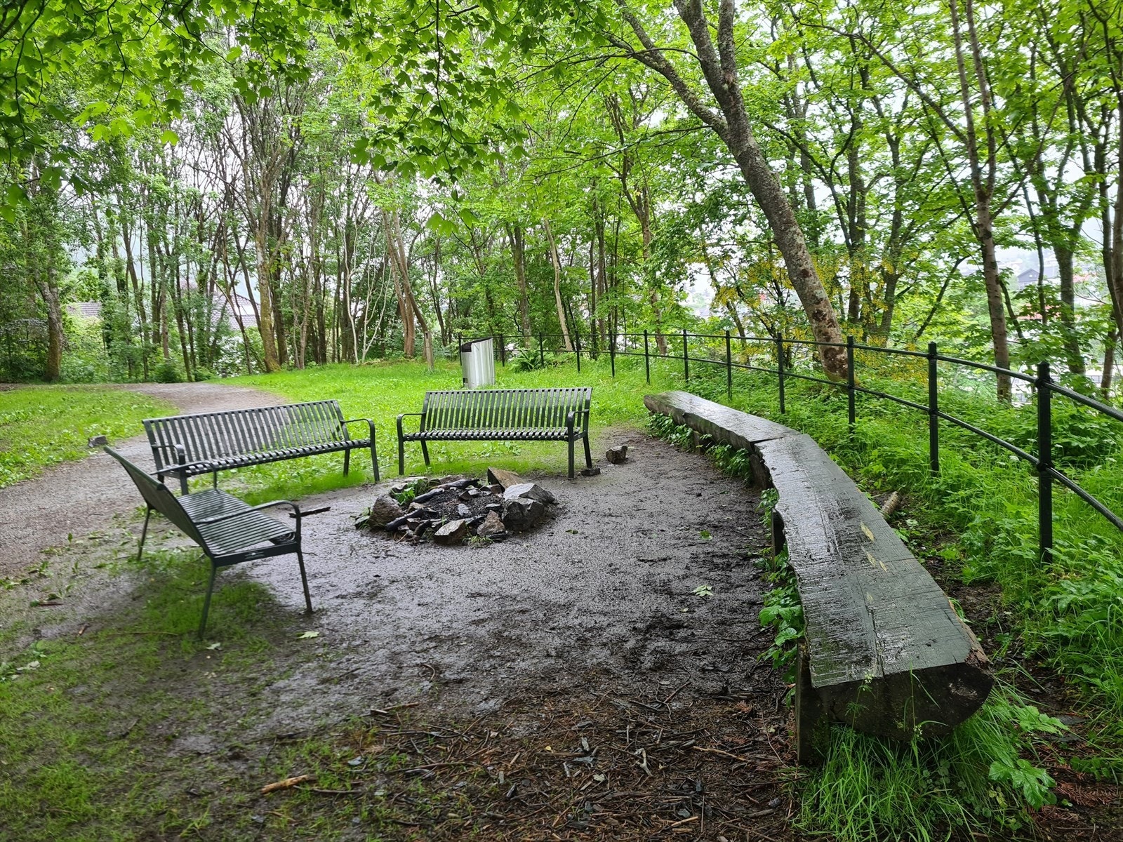 Lyreneset Galleribilde