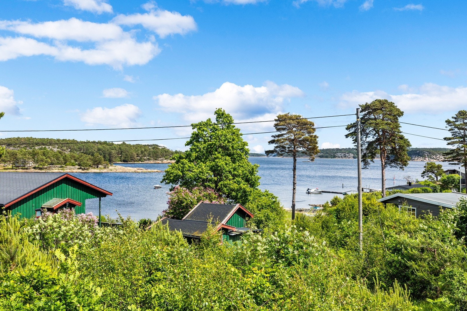 Utsikt over sjøen og de grønne omgivelsene. Galleribilde
